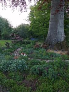 Sejours chez l'habitant Chambre Le Notre Le Domaine Des Jardins De Bracquetuit : photos des chambres