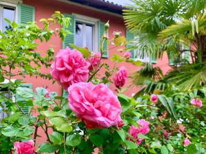 Il Giardino Segreto Arona, Charming Apartments