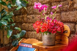 Posada del Abuelito (Hostel)