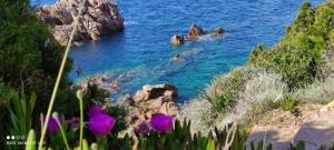 Casa di Maia, piscina, posto auto e giardino img32