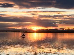 Marlo Caravan Park & Motel