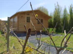 Maisons de vacances Gites entre mer et campagne, 3km de Berck les chalets du Fliers : photos des chambres