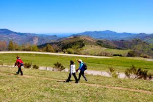 Maisons de vacances Naturaleza y aire puro en el Pirineo oriental en una bonita casa rural de piedra : photos des chambres