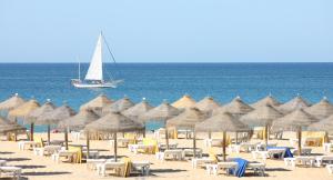 The Navigator - Olympus Marina