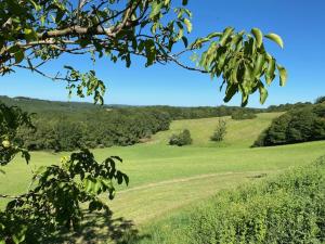 Maisons de vacances Domaine de Cazal - Gite 2 pers avec piscine au coeur de 26 hectares de nature preservee : photos des chambres