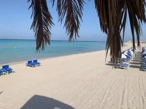 Bilocale vista spiaggia 10 metri dal mare - Torre Mozza