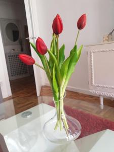 CONTRASTES RIBEIRA SACRA