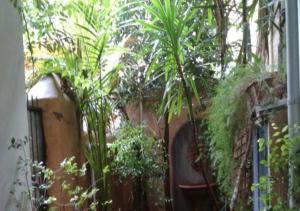 Independent with garden heart of trastevere John Cabot