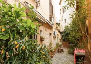 Independent with garden heart of trastevere John Cabot