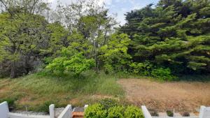 Appartements Studio familial 30m2 Les Goelands - grand balcon vue foret : photos des chambres