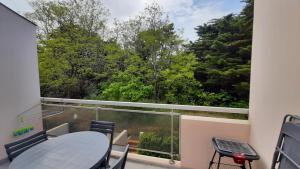 Appartements Studio familial 30m2 Les Goelands - grand balcon vue foret : photos des chambres