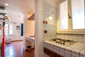 Ferret Apartment img14