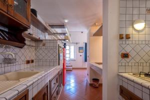 Ferret Apartment img12