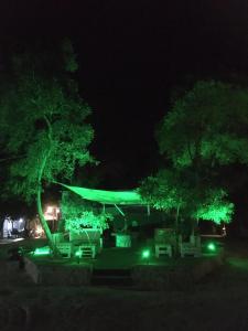 Camping Assini Beach Argolida Greece