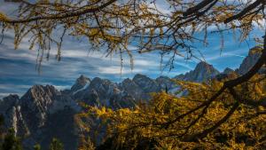 Apartmaji Prton Bovec