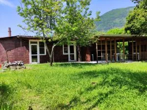 V gostiakh u Maii - Otradnoye