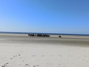 Maisons de vacances Gites entre mer et campagne, 3km de Berck les chalets du Fliers : photos des chambres