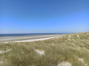 Maisons de vacances Gites entre mer et campagne, 3km de Berck les chalets du Fliers : photos des chambres