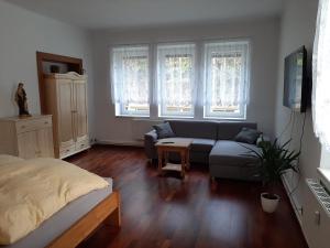 Apartmán vila Vítkovice