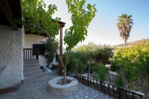 Lavender home with amazing views! Paros Greece