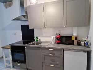 Appartements Beaugency-3 sur la route des chateaux : photos des chambres