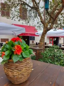 Valle Degli Etruschi B&B - Grilli