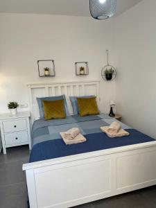 UIM Mediterraneo Segorbe 1 Wifi