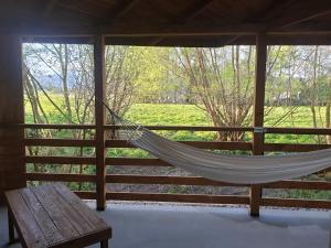 Apartament nad Przykopą