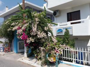 Amfi Apartments Kos Greece