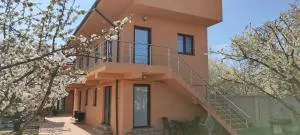 HOME NAYA - Colonişti