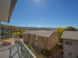 Opus 1 10 Poley Cow Lane