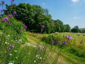 Charmant appartement à la ferme, 2 chambres, Wi-Fi, proche Auxi-le-Château - FR-1-376-28