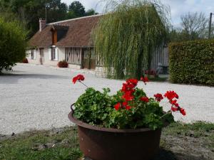 Maisons de vacances Gite Cour-Cheverny, 2 pieces, 2 personnes - FR-1-491-36 : photos des chambres