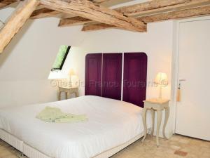 Maisons de vacances Gite Langeais, 6 pieces, 10 personnes - FR-1-381-348 : photos des chambres