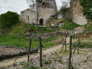 Maisons de vacances Gite Salt-en-Donzy, 5 pieces, 8 personnes - FR-1-496-10 : photos des chambres