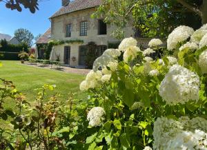 Maisons d'hotes La Maison d'Aline - Honfleur - Maison d'Hote De Charme A La Normande : photos des chambres