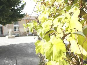 Maisons de vacances Gite Talmont-Saint-Hilaire, 2 pieces, 2 personnes - FR-1-426-332 : photos des chambres