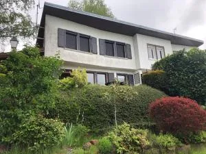 LE PETIT RENARD - Dabo