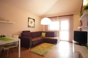 Apartman  room in Penzion Tara