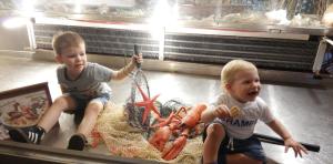 Gasthof Erzherzog Rainer - Zimmer und Ferienwohnung