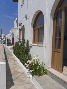 Asteri Hotel Myconos Greece