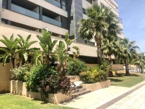 GATU PREMIUM El Puerto Centro aire acc, calefacc, wifi, parking y piscina comun Preferente mayores de 25 años y familias "