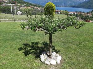 B&B Garzola