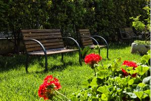 Il Giardino Di Flora con Piscina & Jacuzzi