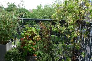 Appartements Nid Douillet a Bagatelle : photos des chambres