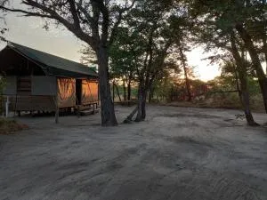 Acacia Camp - Mababe
