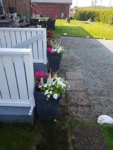 Lucia and Roland house