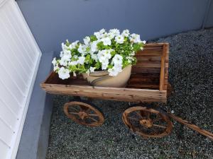 Lucia and Roland house