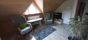 Apartament pod lasem - Staraya Solʼ