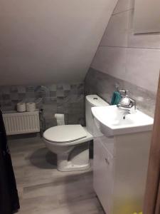 Apartament pod lasem